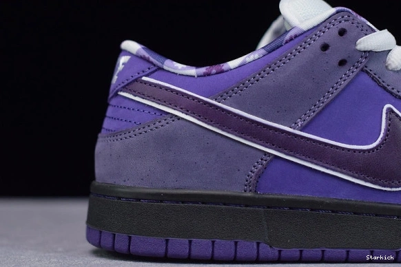 BV1310-555 Concepts Dunk Low SB Lobster Purple Nike 1008